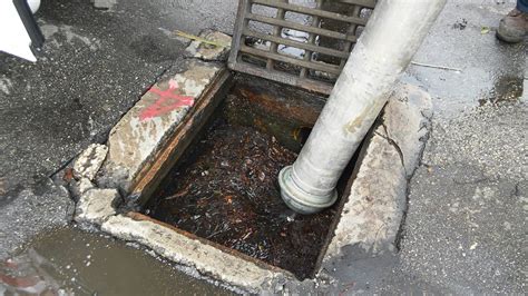 Storm drain cleaning. Things To Know About Storm drain cleaning. 